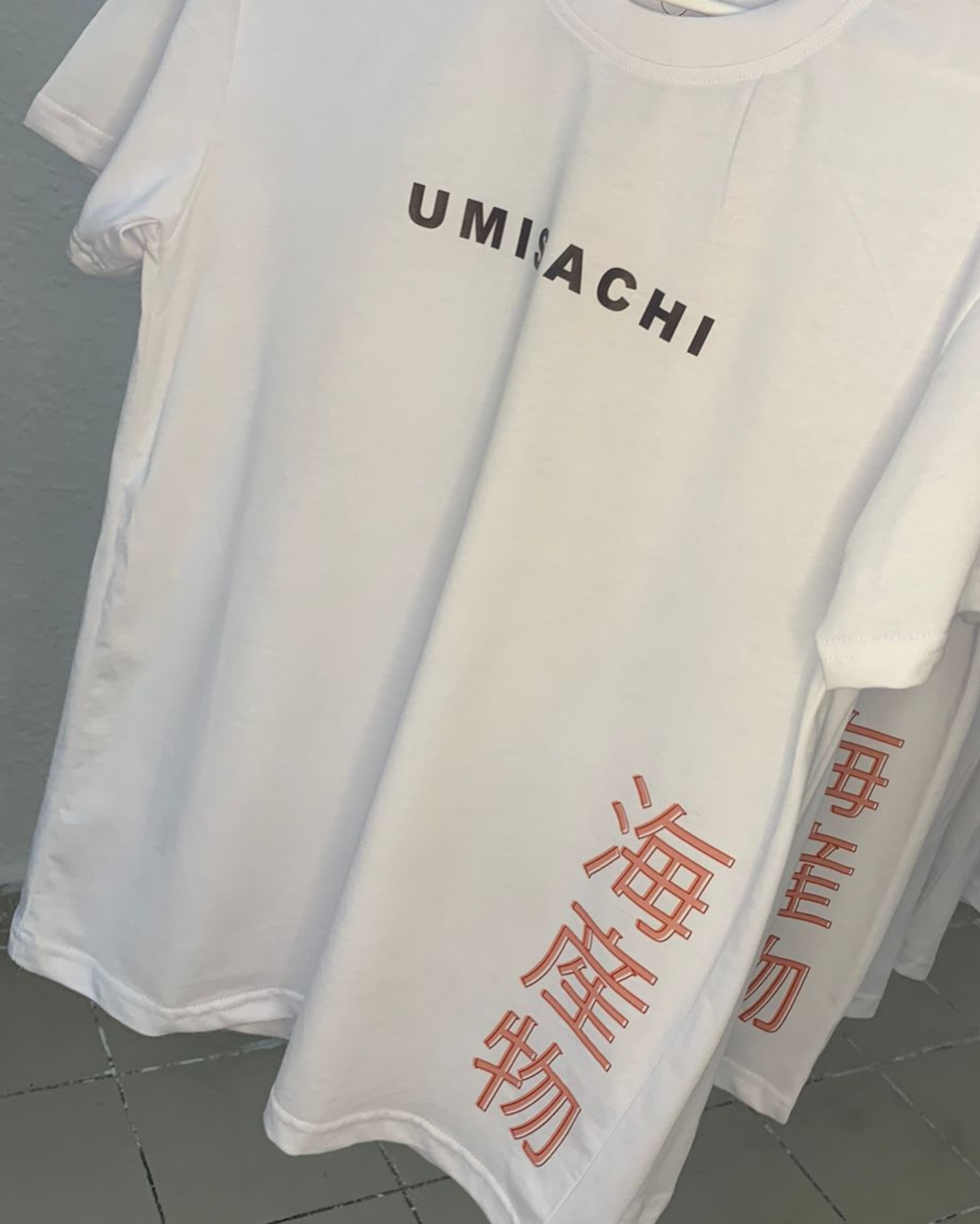 Umisachi project 2